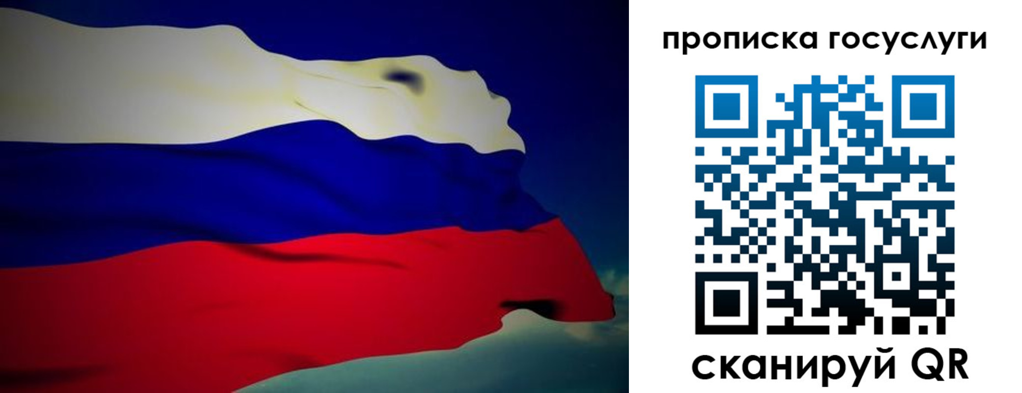 прописка регистрация в Владимирской области